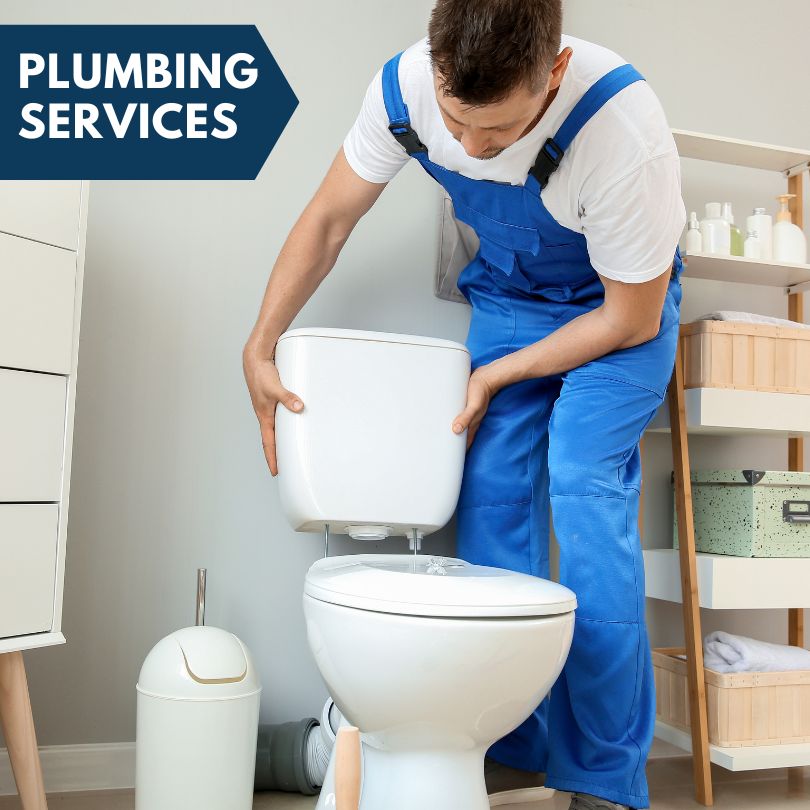 Plumbing Company in Buncombe, IL
